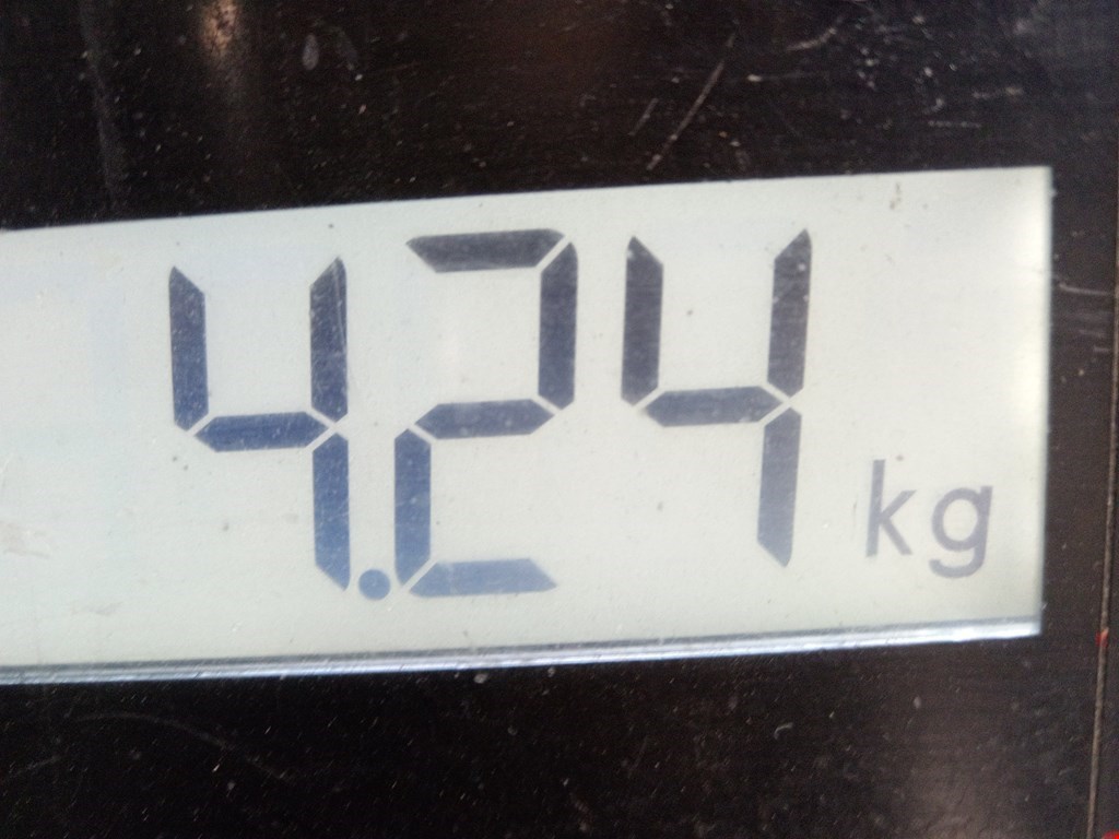 Бампер задний NISSAN Qashqai J10 2006-2013