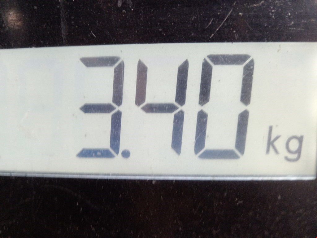 Бампер задний VOLKSWAGEN Golf VI 2009-2012