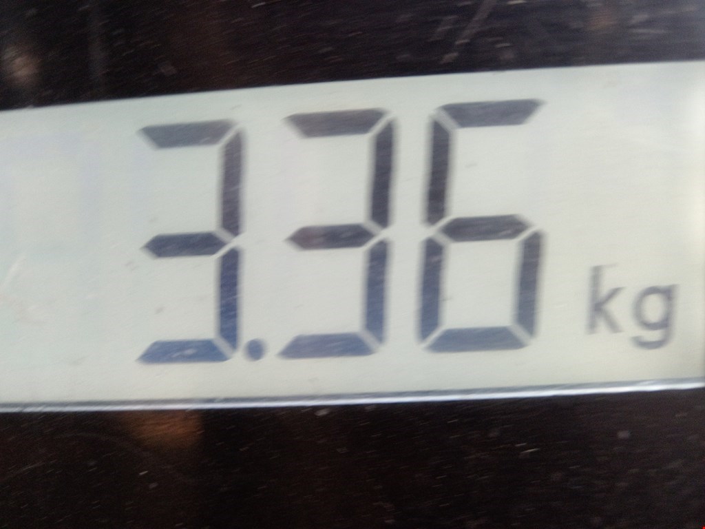 Бампер задний VOLKSWAGEN Golf VI 2009-2012