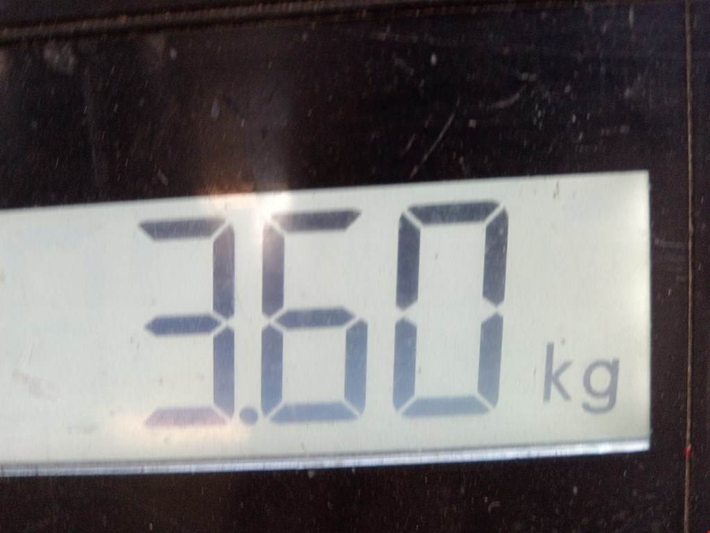 Бампер задний FORD Kuga 2012-2019