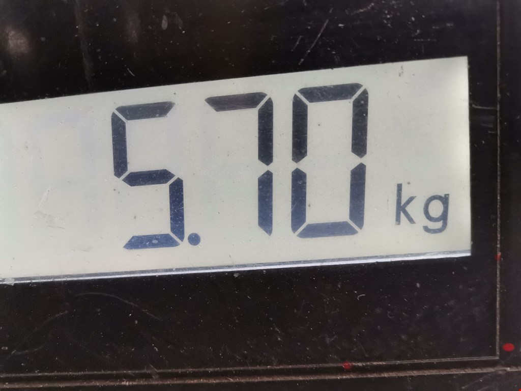 Бампер передний LAND ROVER Range Rover Evoque 2011-2018