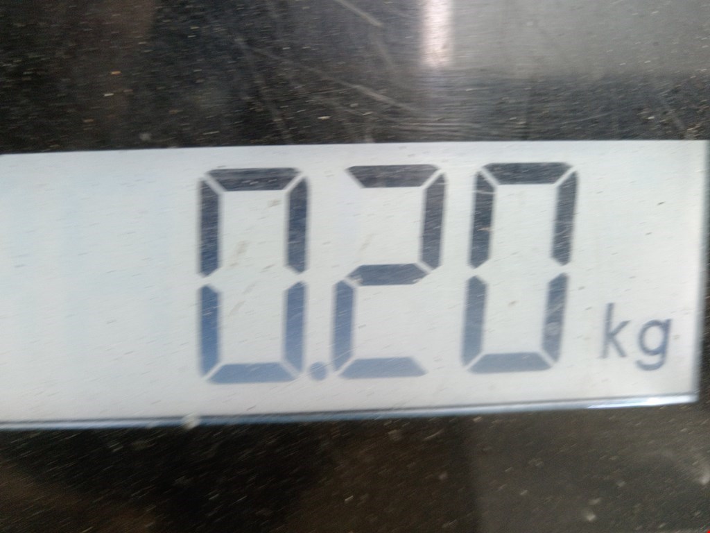 Амортизатор крышки (двери) багажника BMW 1er E81\E87 2004-2011