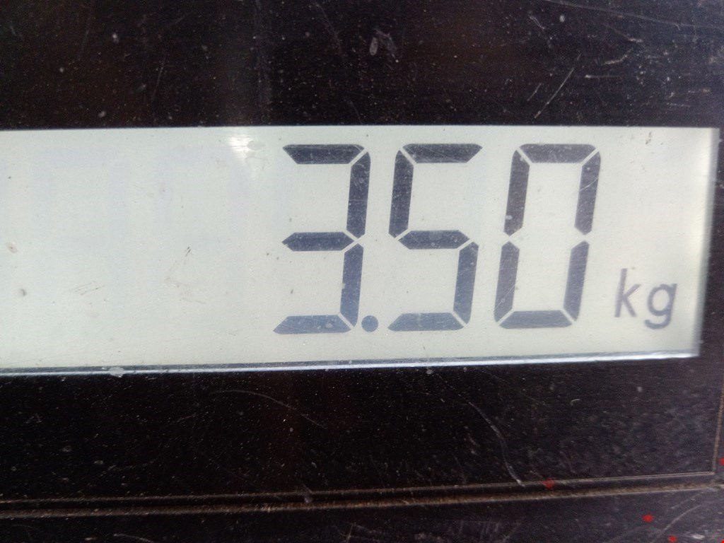 Бампер задний SKODA Octavia A7 2013-2020