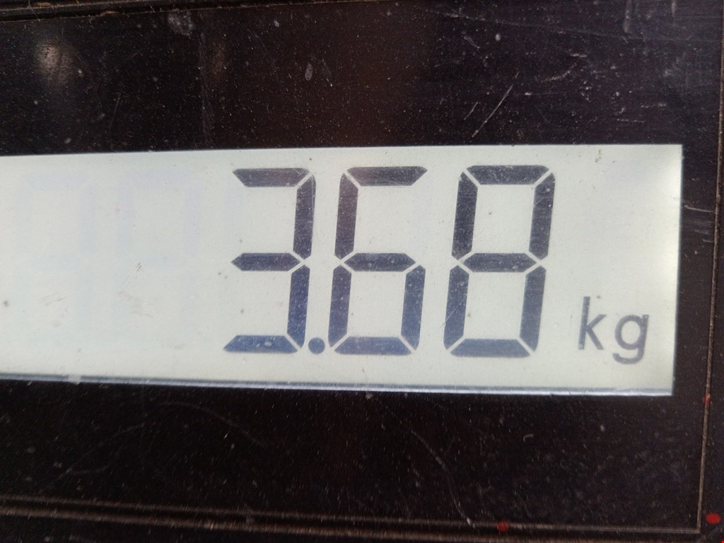 Бампер задний VOLKSWAGEN Golf VI 2009-2012