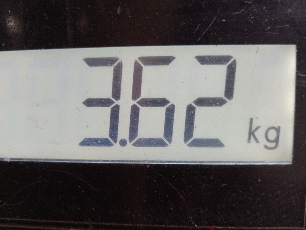 Бампер задний VOLKSWAGEN Golf VI 2009-2012