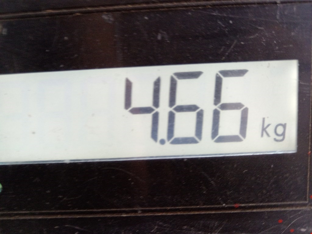 Бампер задний SKODA Octavia A5 1Z- 2004-2013