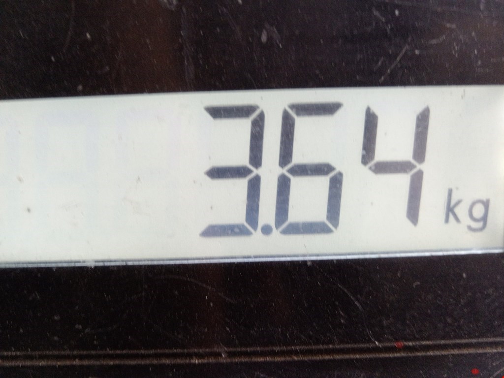 Бампер задний VOLKSWAGEN Golf VI 2009-2012