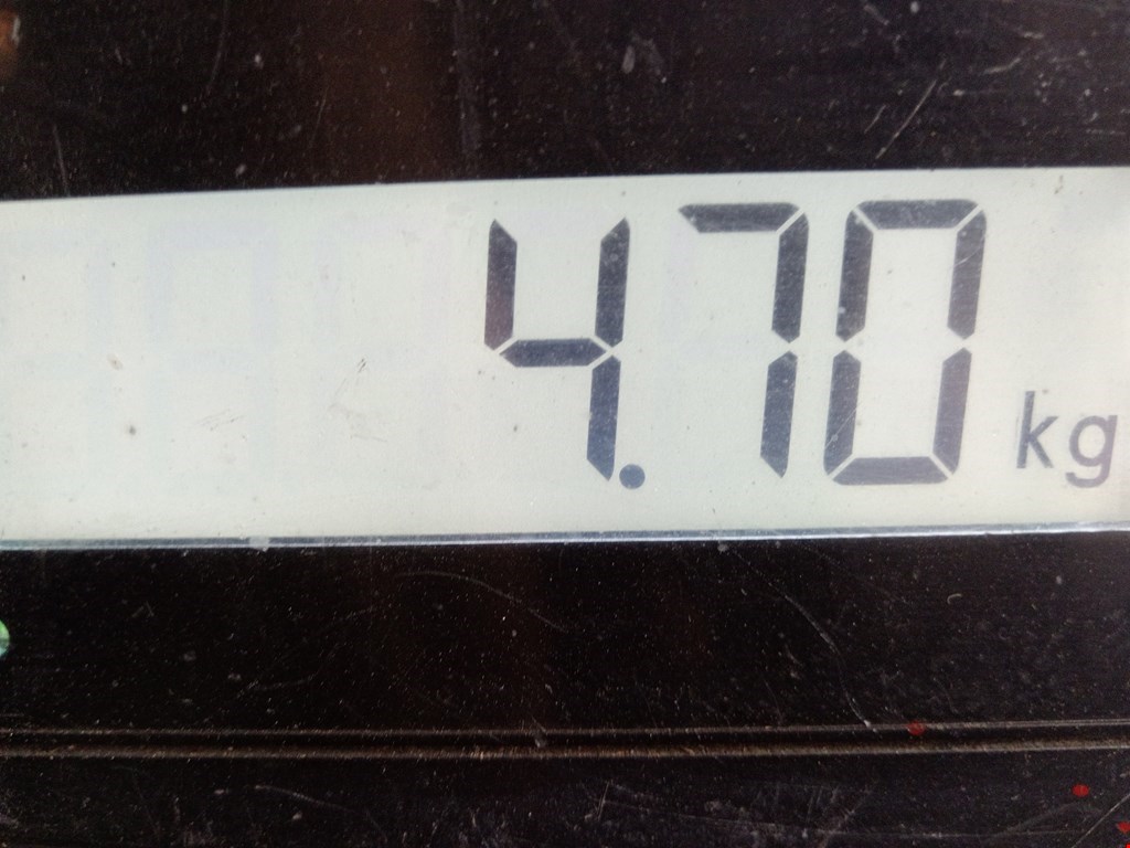 Бампер задний SKODA Octavia A5 1Z- 2004-2013