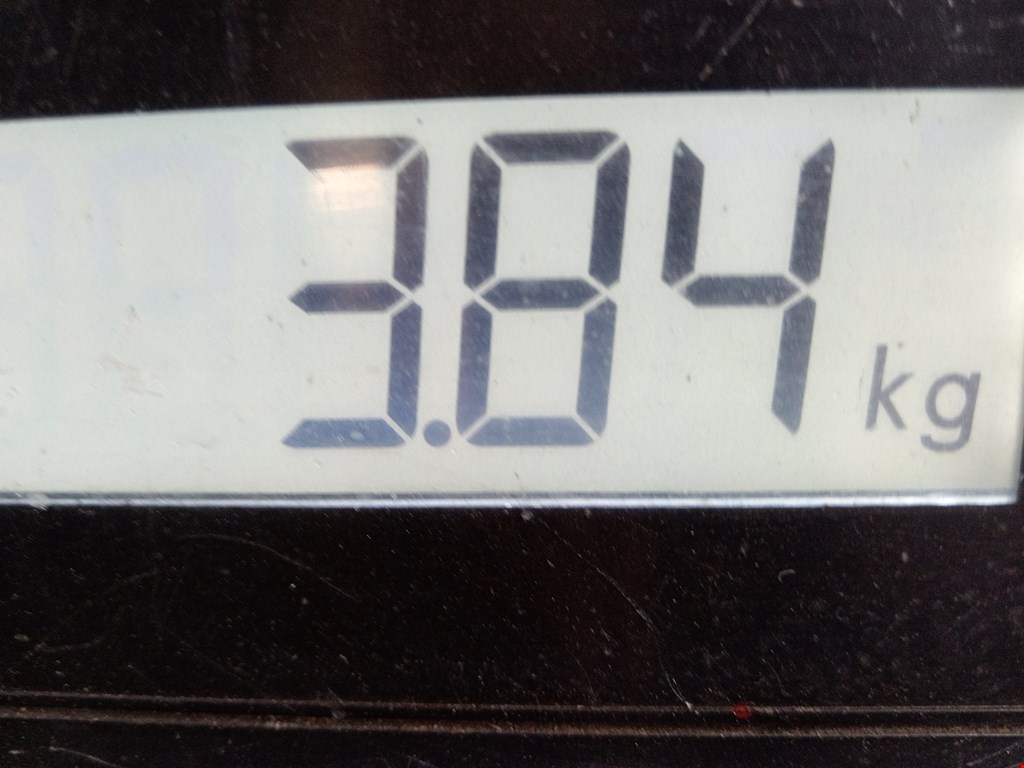 Бампер задний VOLKSWAGEN Golf VII 2012-2020