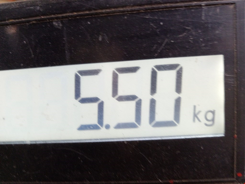 Бампер задний LAND ROVER Range Rover Evoque 2011-2018