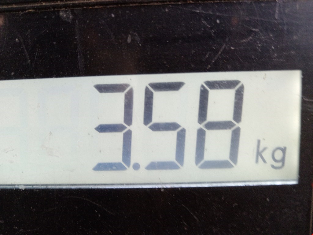 Бампер задний VOLKSWAGEN Golf VI 2009-2012