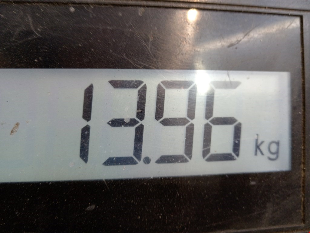 Коробка раздаточная (раздатка) NISSAN X-Trail T30 2000-2007