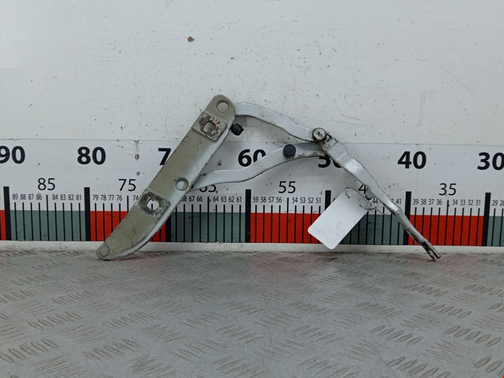 Петля крышки (двери) багажника BMW 3-Series (E46) (1998-2007)