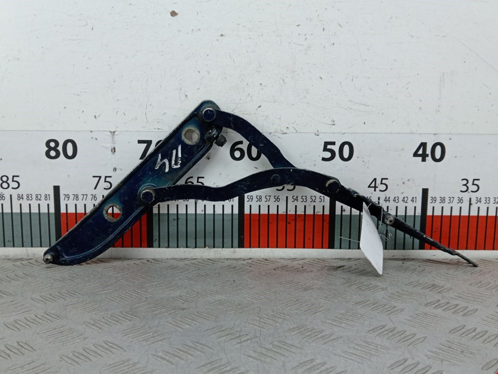 Петля крышки (двери) багажника BMW 3-Series (E46) (1998-2007)