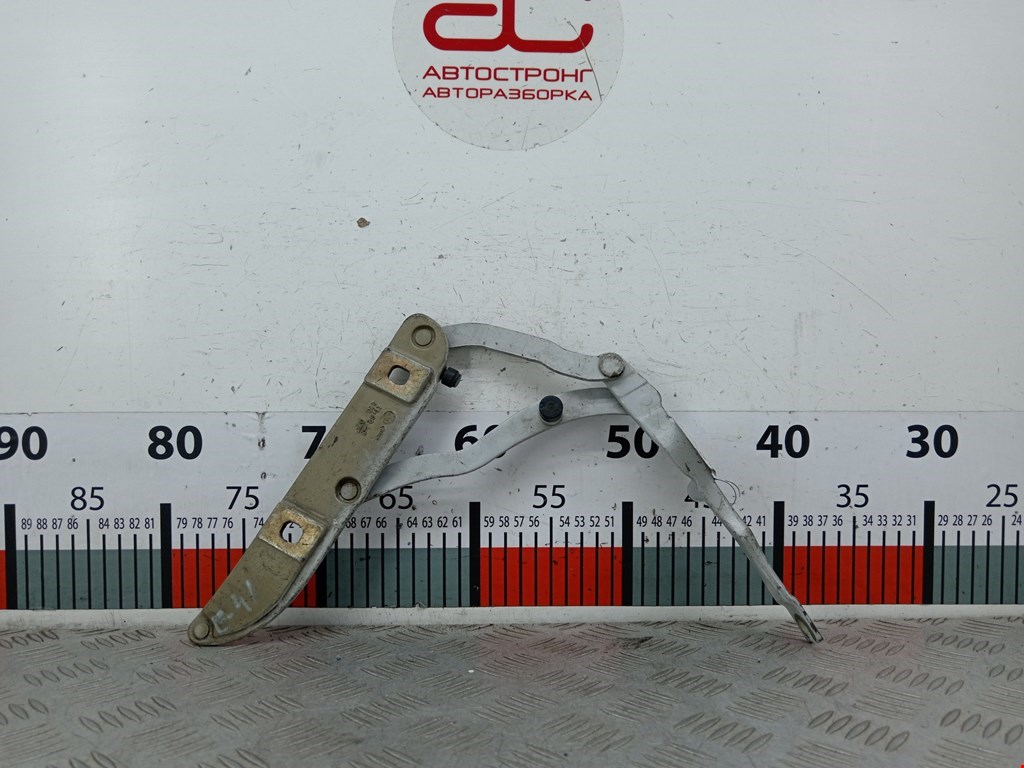 Петля крышки (двери) багажника BMW 3-Series (E46) (1998-2007)