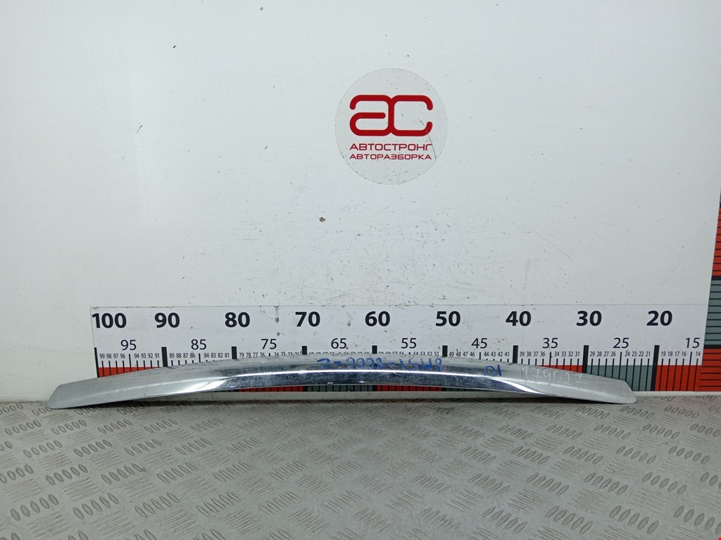 Накладка декоративная (молдинг) капота Ford Focus 2 (2004-2011)