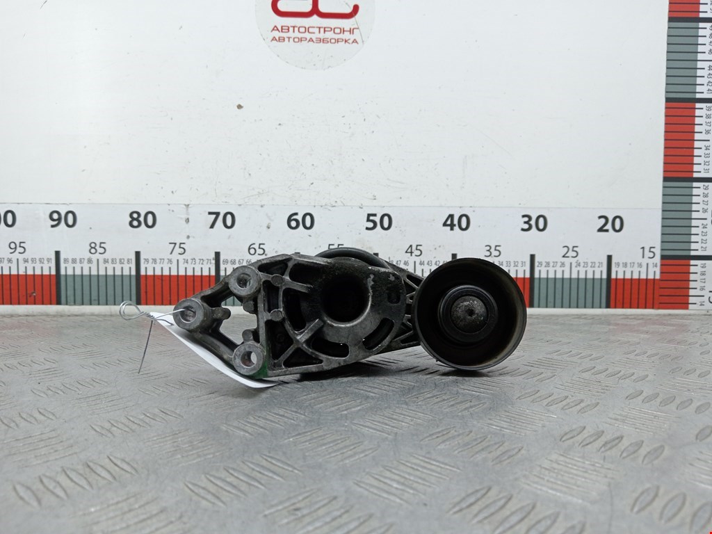 Натяжитель ремня генератора (приводного поликлинового ремня Skoda Fabia 2 (5J) (2007-2014)