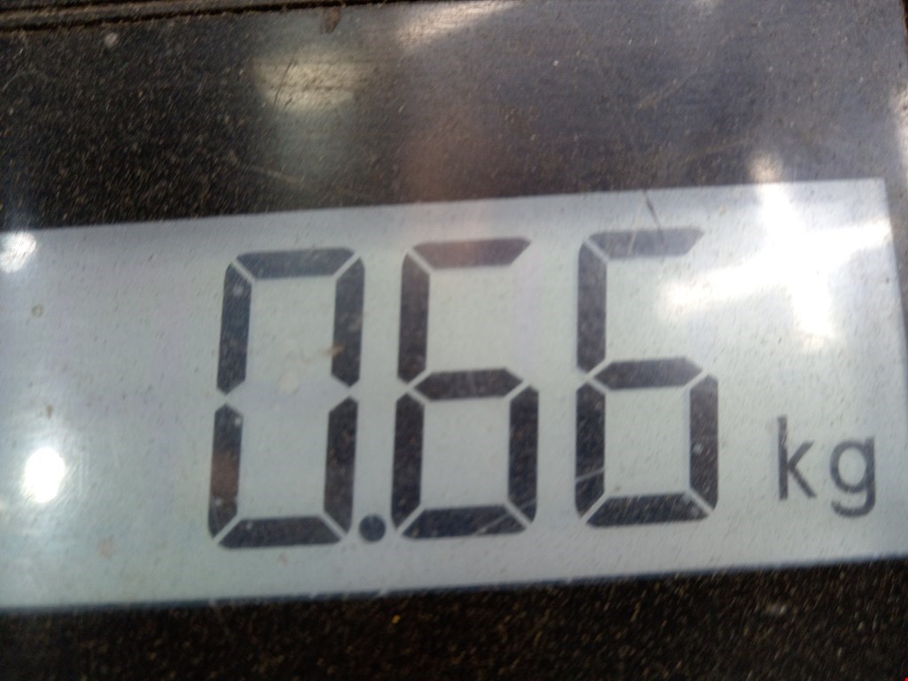 Локер (подкрылок) передний левый LAND ROVER Range Rover Evoque 2011-2018