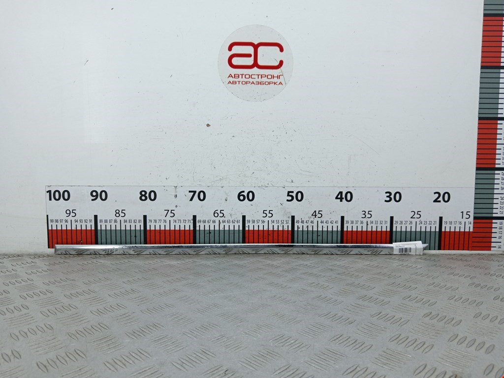 Накладка декоративная (молдинг) двери задней левой Volkswagen Passat 6 (2005-2010)