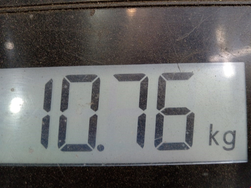 Усилитель переднего бампера (передний) LAND ROVER Range Rover 2002-2012