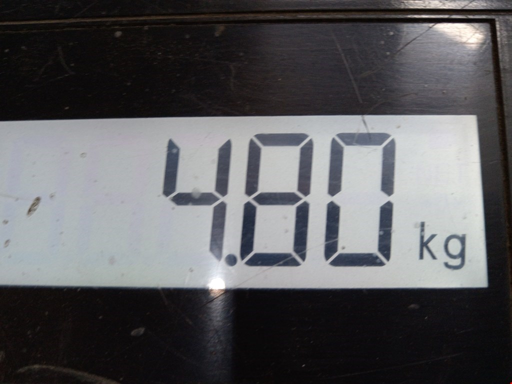 Усилитель переднего бампера (передний) CITROEN C5 I 2001-2008