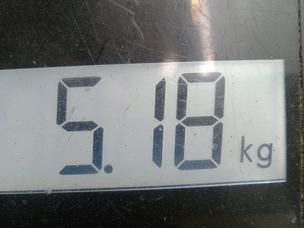 Коллектор выпускной NISSAN Primera P12 2002-2008