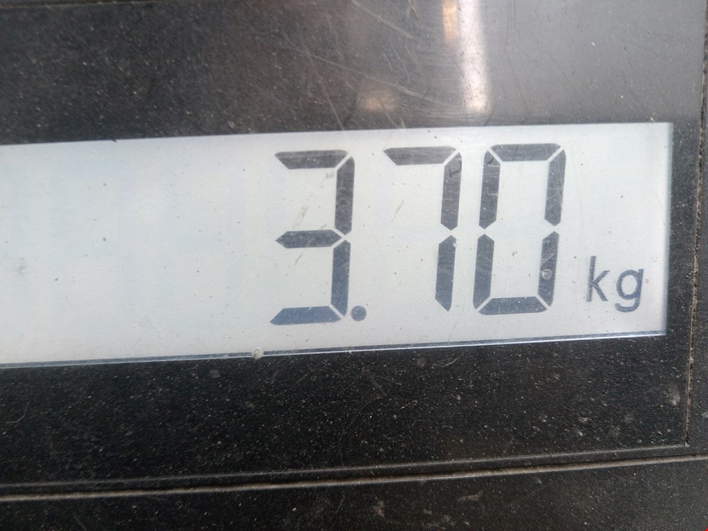 Поддон масляный двигателя BMW 3er E46 1998-2006