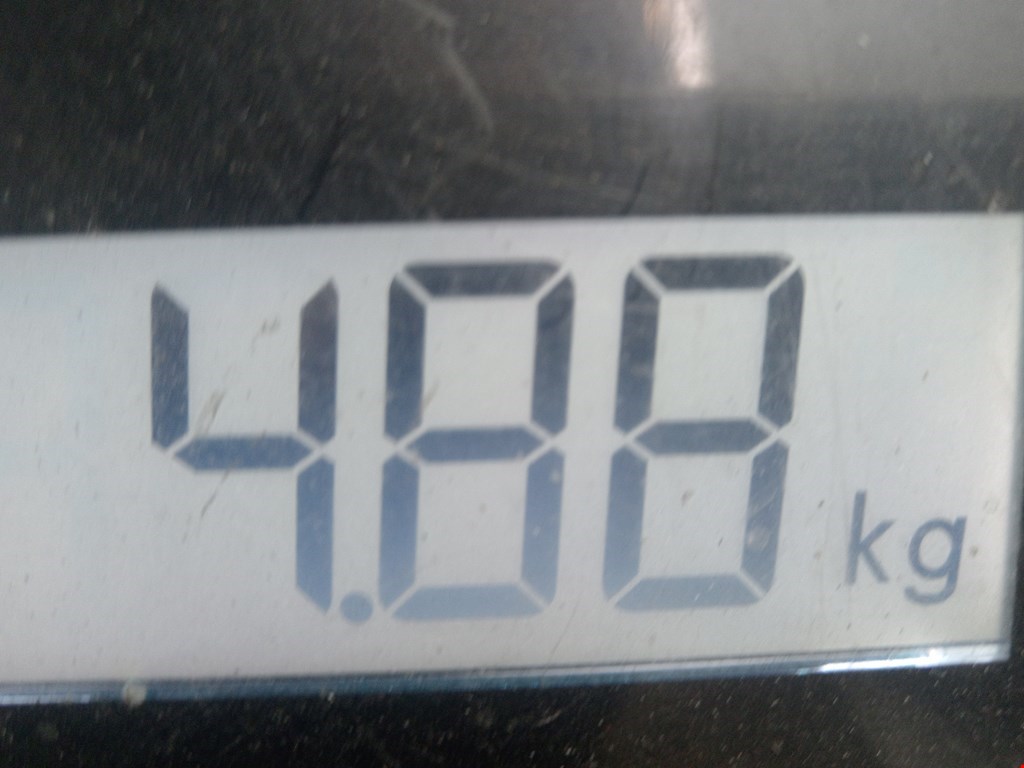 Поддон масляный двигателя BMW 5er 5 серия E39 1995-2004