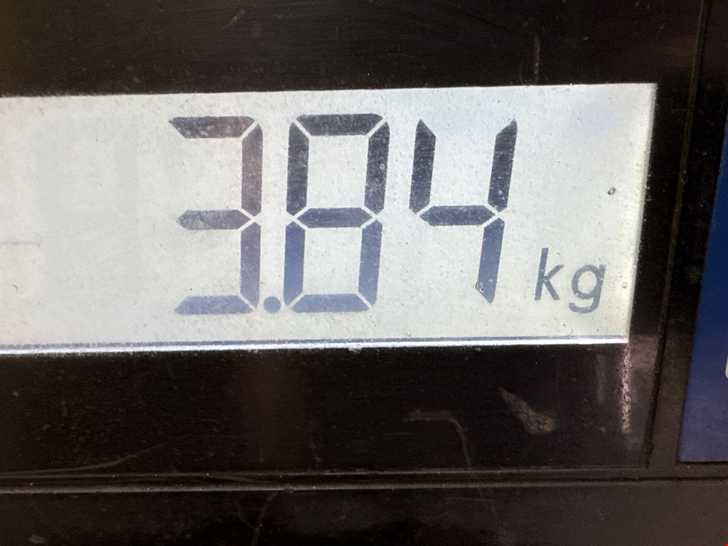 Стекло двери переднее левое AUDI A3 8L 1996-2003