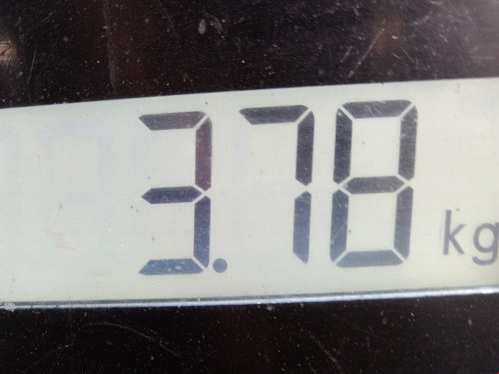 Бампер задний VOLKSWAGEN Polo V Sed Rus 2011-2020