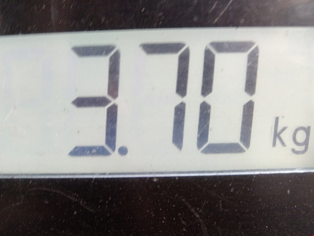 Бампер задний RENAULT Sandero 2009-2014