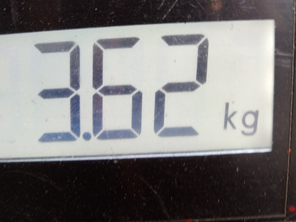 Бампер задний RENAULT Sandero 2009-2014