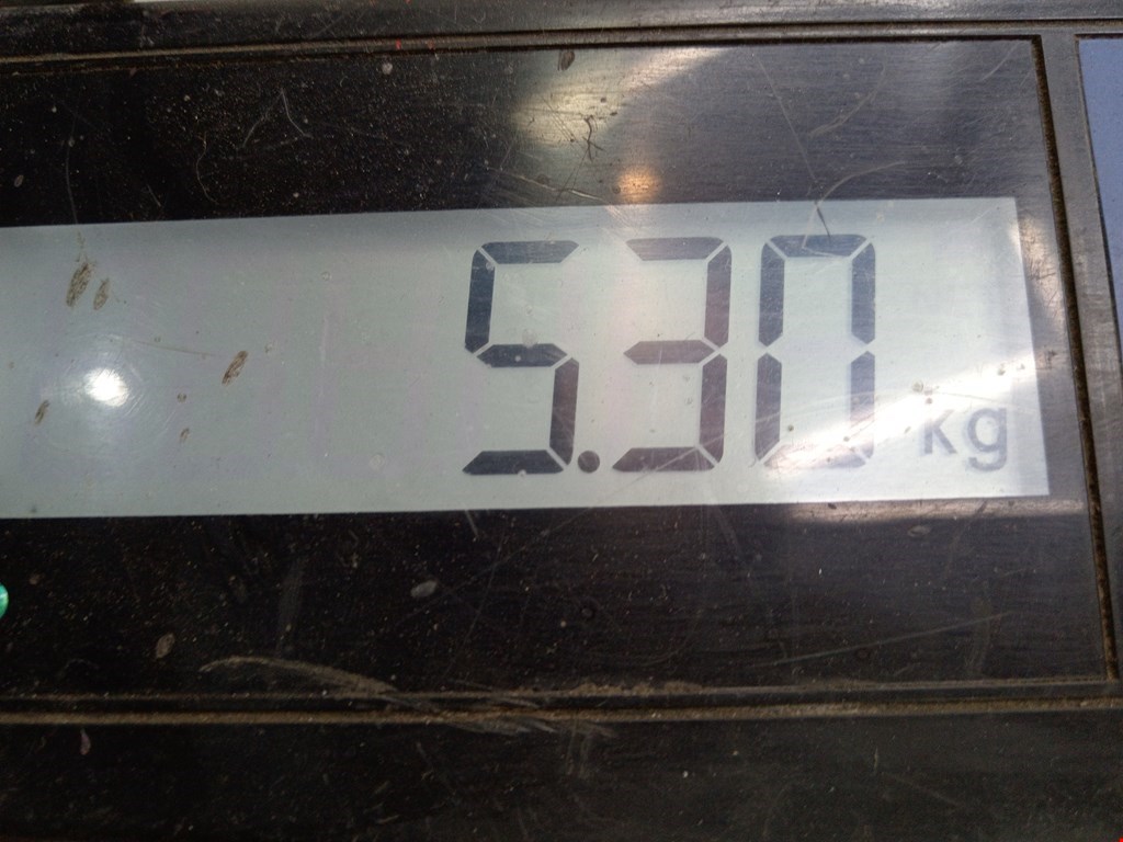 Бампер задний LAND ROVER Range Rover Evoque 2011-2018