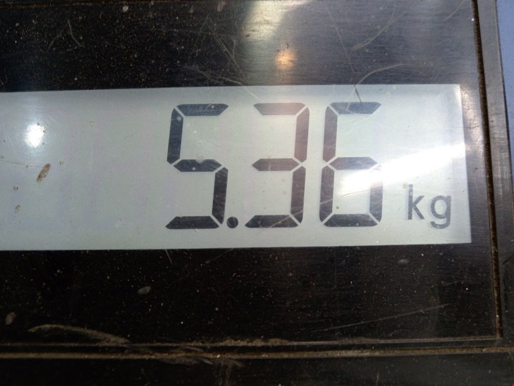 Бампер задний LAND ROVER Range Rover Evoque 2011-2018