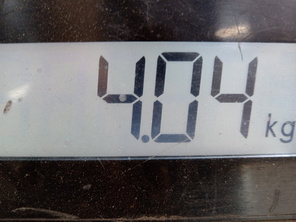 Обшивка потолка BMW X5 E53 1999-2006