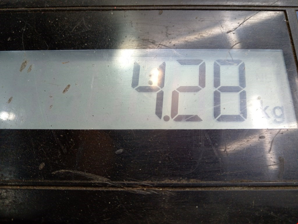 Компрессор кондиционера (системы кондиционирования) SKODA Fabia MK1 1999-2006