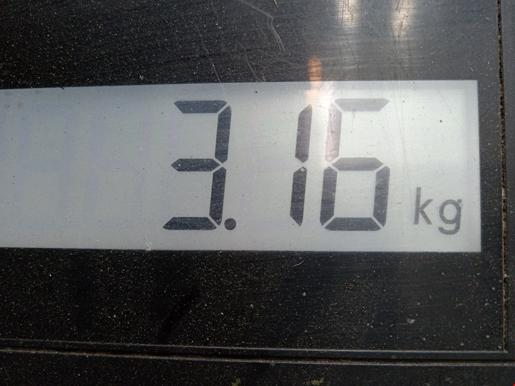 Коллектор выпускной BMW 3er E90/E91 2005-2012