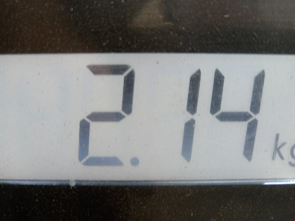 Обшивка двери задняя левая NISSAN Primera P12 2002-2008