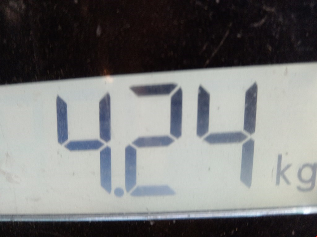 Бампер передний OPEL Agila A 2000-2007