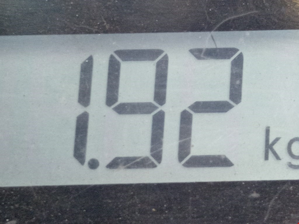 Юбка (губа) бампера задняя (заднего) PORSCHE Panamera 970 2009-2016