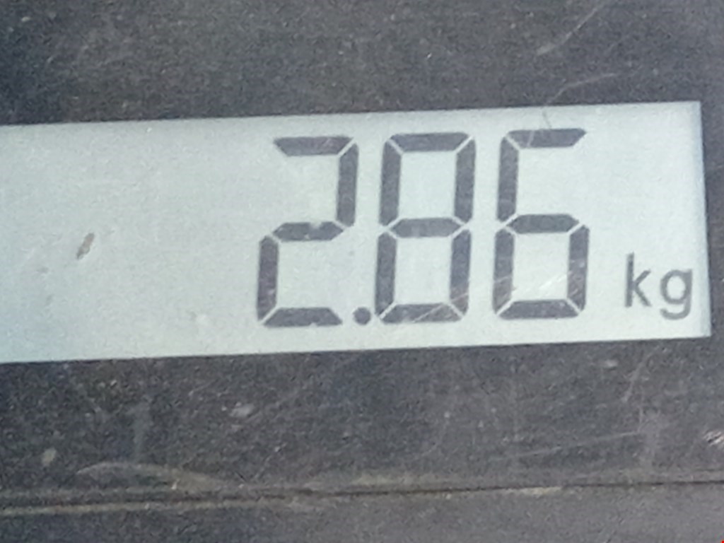 Юбка (губа) бампера задняя (заднего) KIA Sportage III 2010-2015