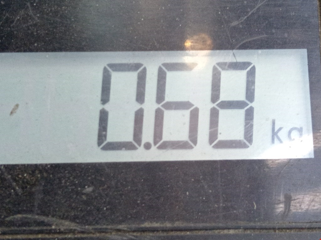 Юбка (губа) бампера задняя (заднего) MERCEDES-BENZ S-Class VI W222, C217 2013-2020