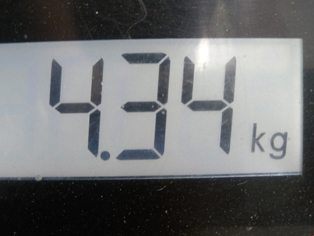 Поддон масляный двигателя BMW 3er E46 1998-2006