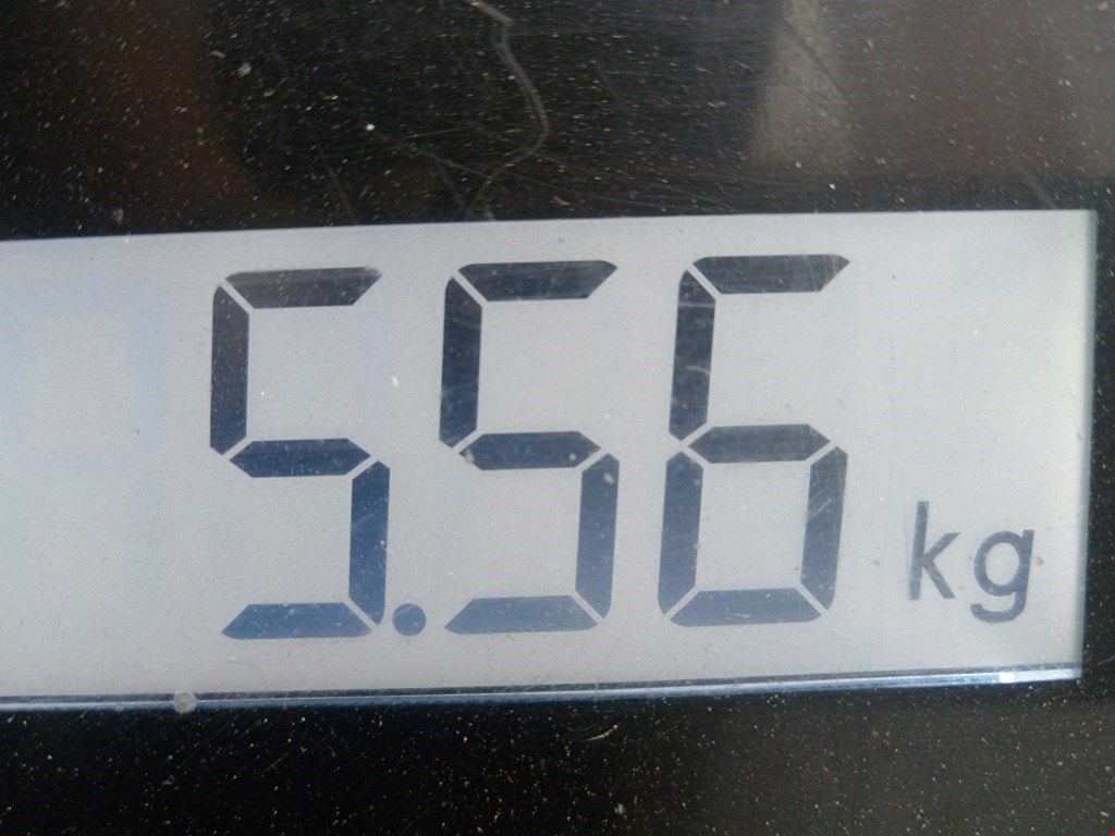 Поддон масляный двигателя MG ZT I 2001-2005