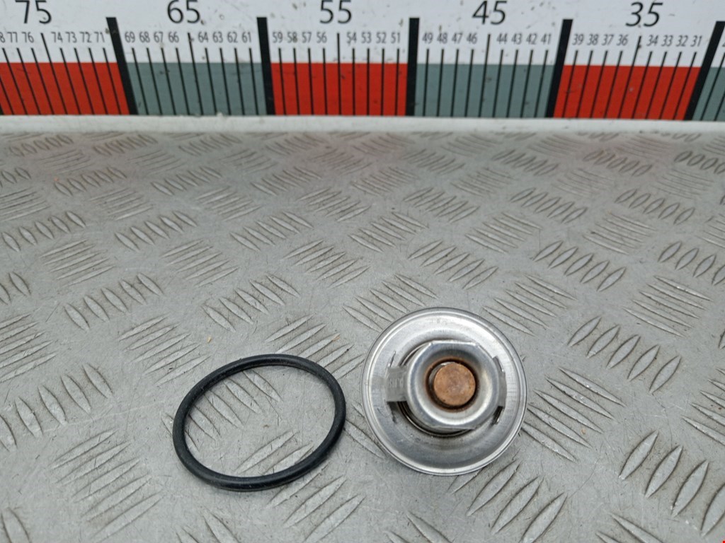 Термостат SEAT Alhambra 1996-2010