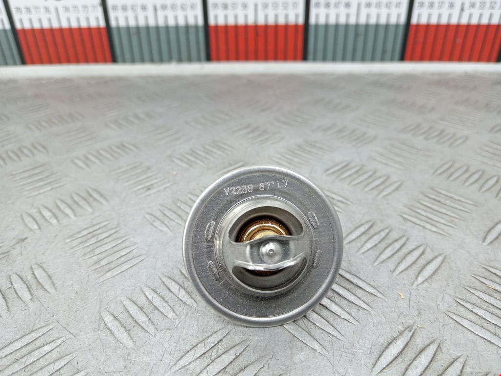 Термостат SEAT Alhambra 1996-2010