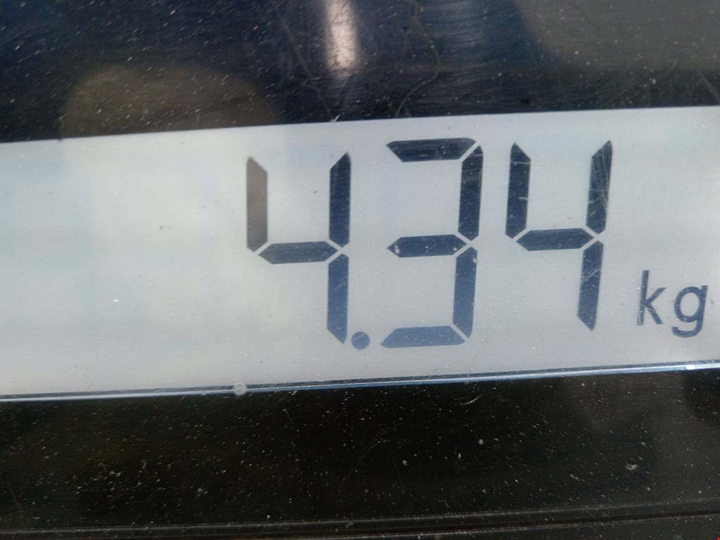 Вентилятор радиатора основного BMW 3er F30/F31/F80 2011-2019