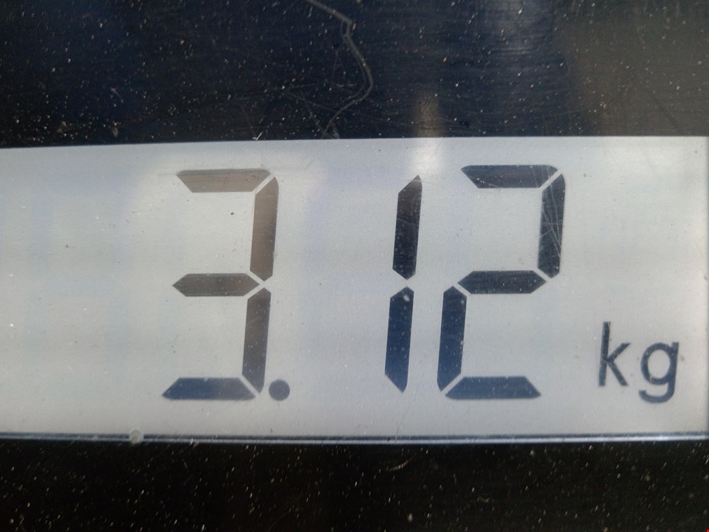 Интеркулер (радиатор интеркулера) BMW 3er F30/F31/F80 2011-2019