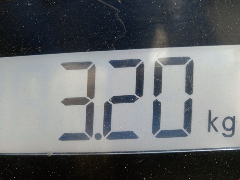 Стабилизатор передний (поперечной устойчивости подвески) BMW 5er 5 серия E60/E61 2003-2010