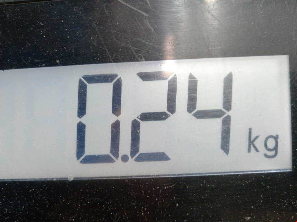 Сигнал звуковой (гудок клаксон) TESLA Model S I 2012-н.в.